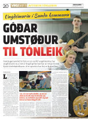 Síða 20