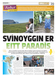 Síða 29