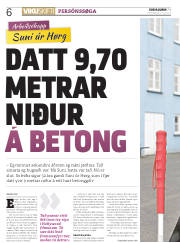 Síða 6