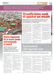 Síða 15