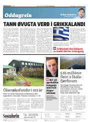 Síða 2