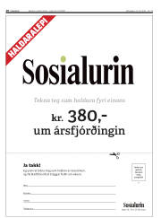 Síða 10