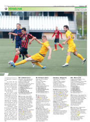 Síða 17
