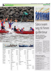 Síða 19
