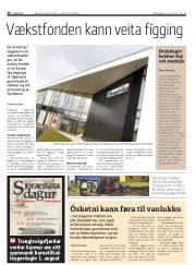 Síða 20