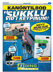 Síða 27