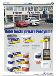 Síða 29