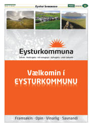 Síða 35