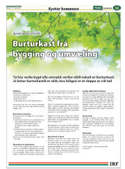 Síða 39