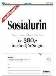 Síða 52