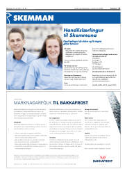 Síða 17