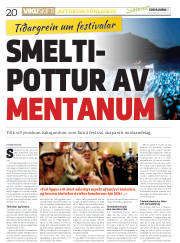 Síða 20