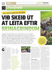 Síða 22