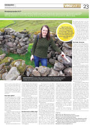 Síða 23