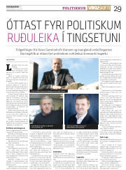 Síða 29