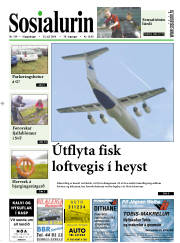Síða 1