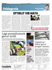 Síða 2