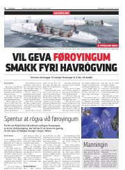 Síða 8