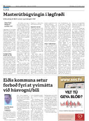 Síða 14