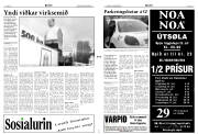 Síða 3