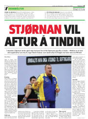Síða 19