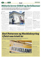 Síða 38