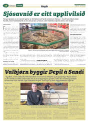 Síða 40