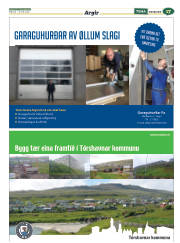 Síða 41