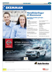 Síða 49