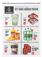 Síða 3