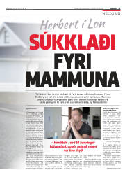 Síða 13