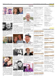 Síða 17