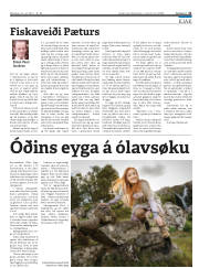 Síða 21