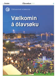 Síða 29