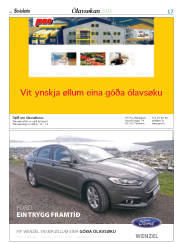 Síða 41