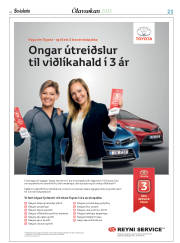 Síða 45