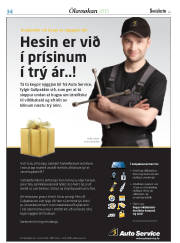 Síða 58