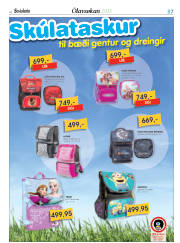 Síða 61