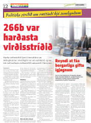 Síða 12