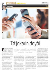 Síða 14