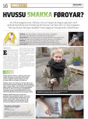 Síða 16