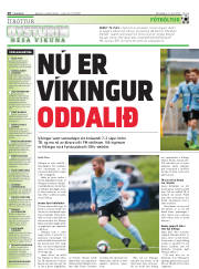 Síða 20