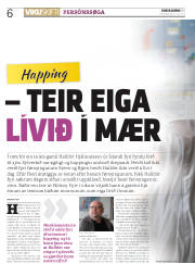 Síða 6