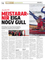 Síða 14