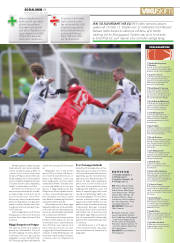 Síða 17