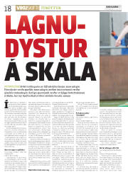 Síða 18