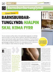 Síða 20