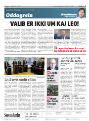 Síða 2