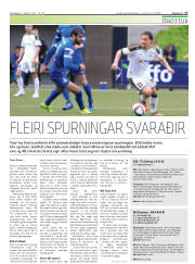 Síða 17