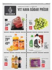 Síða 3